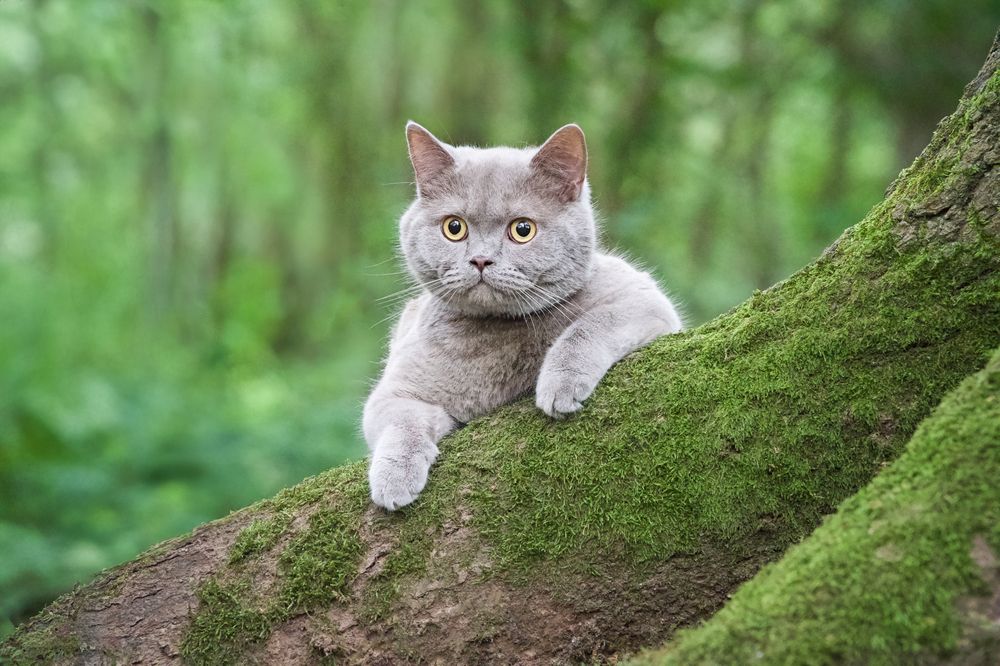 Photograph by Natalie Taylor