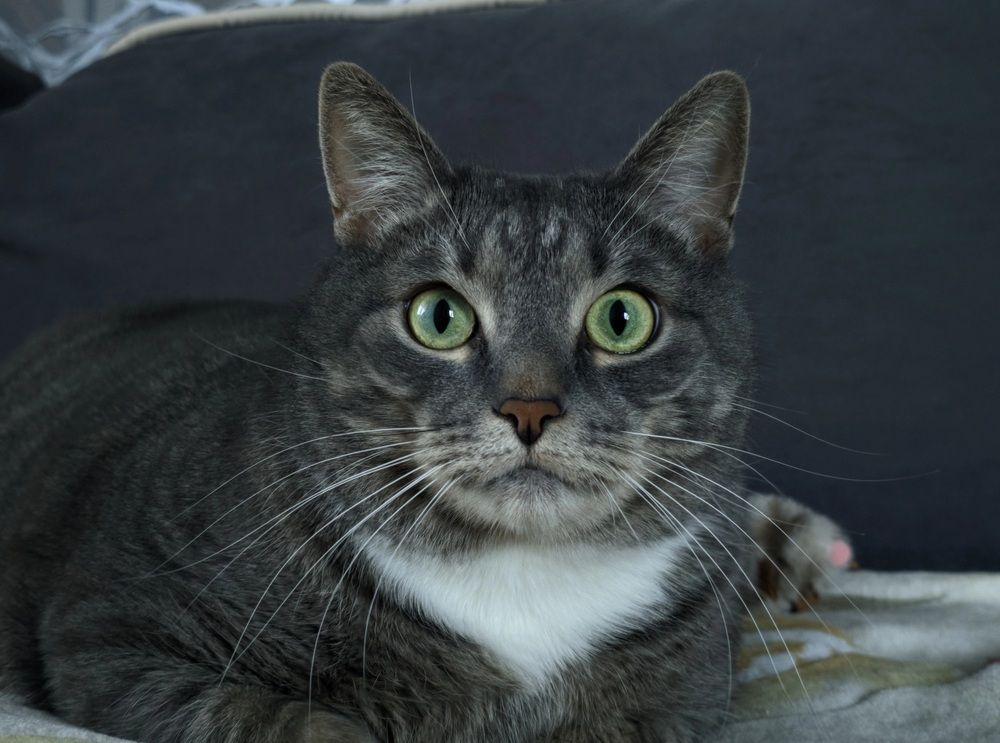 Photograph by Кирилл Сидоров