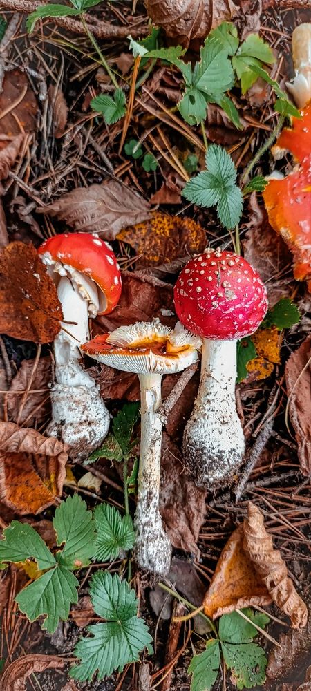 Photograph by Александра Свирская