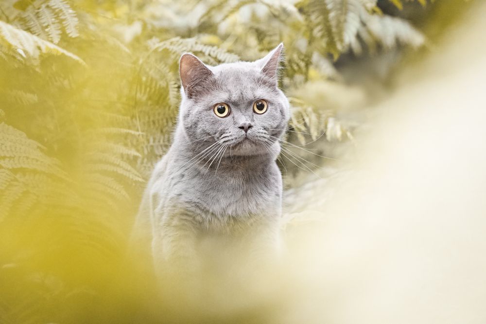 Photograph by Natalie Taylor