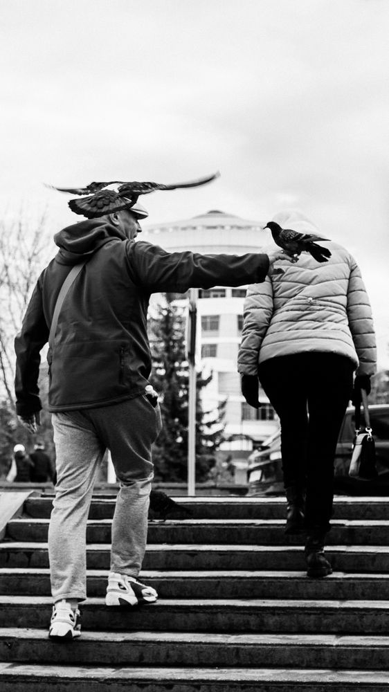Photograph by Александр Николаев