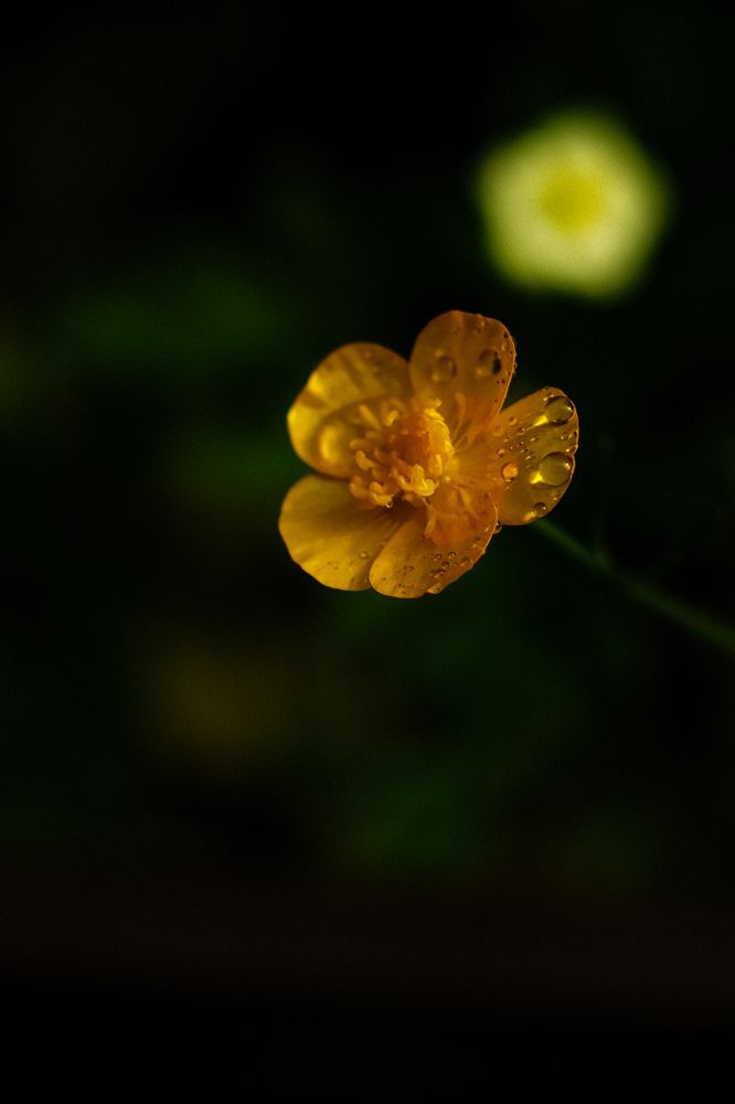 Photograph by Denis Naryshev