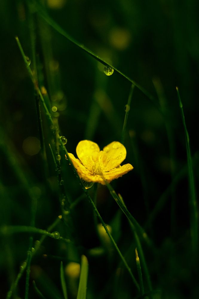 Photograph by Denis Naryshev