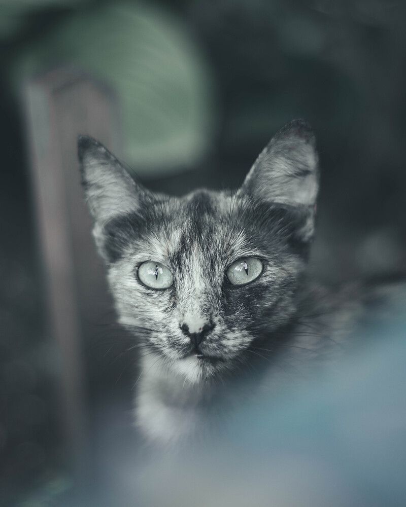 Photograph by Александр Николаев