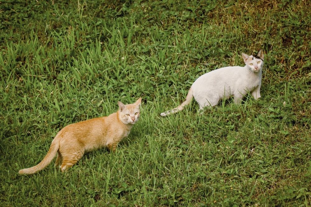 Photograph by Mohammad Samiul Amin