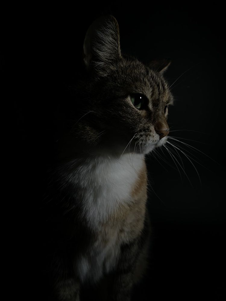 Фотография автора Марина Алексеева