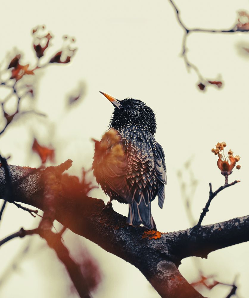 Photograph by Мария Ирешева