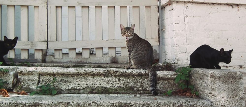 Фотография автора Valerya Vasileva