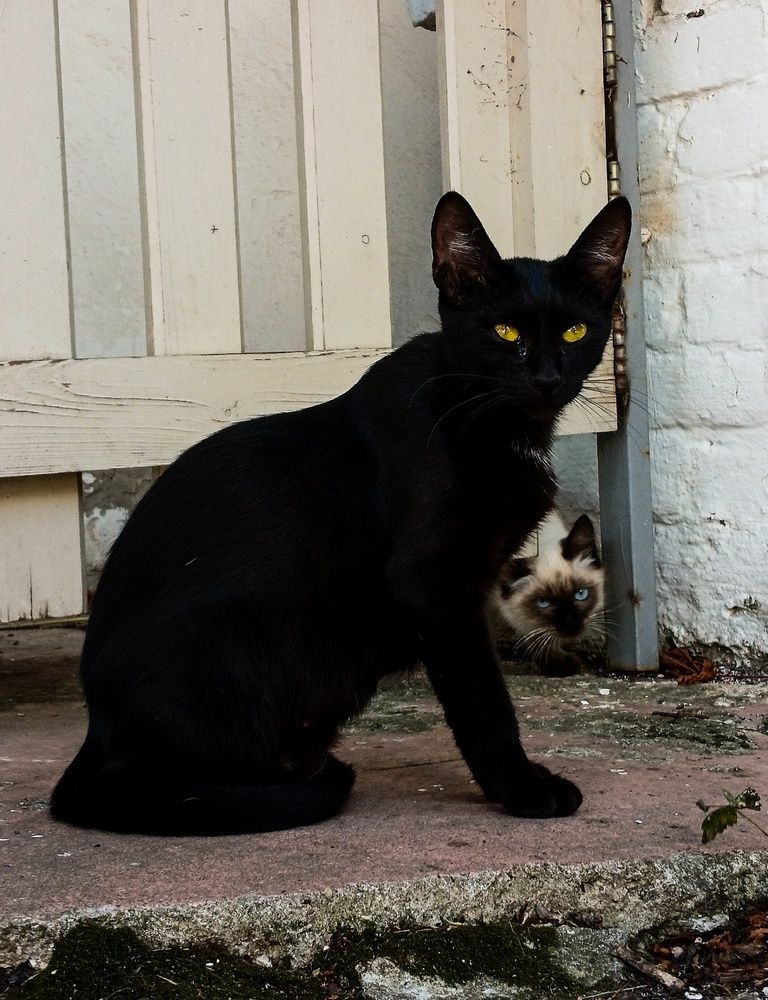 Фотография автора Valerya Vasileva