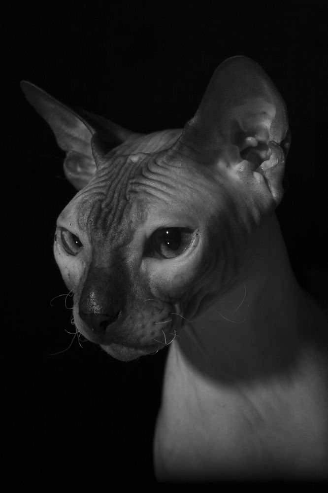 Photograph by Маргарита Дугалева