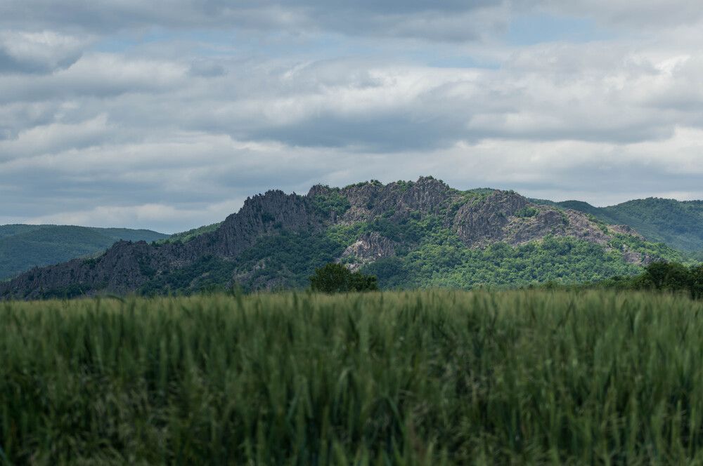 Фотография автора Milan Đorđević