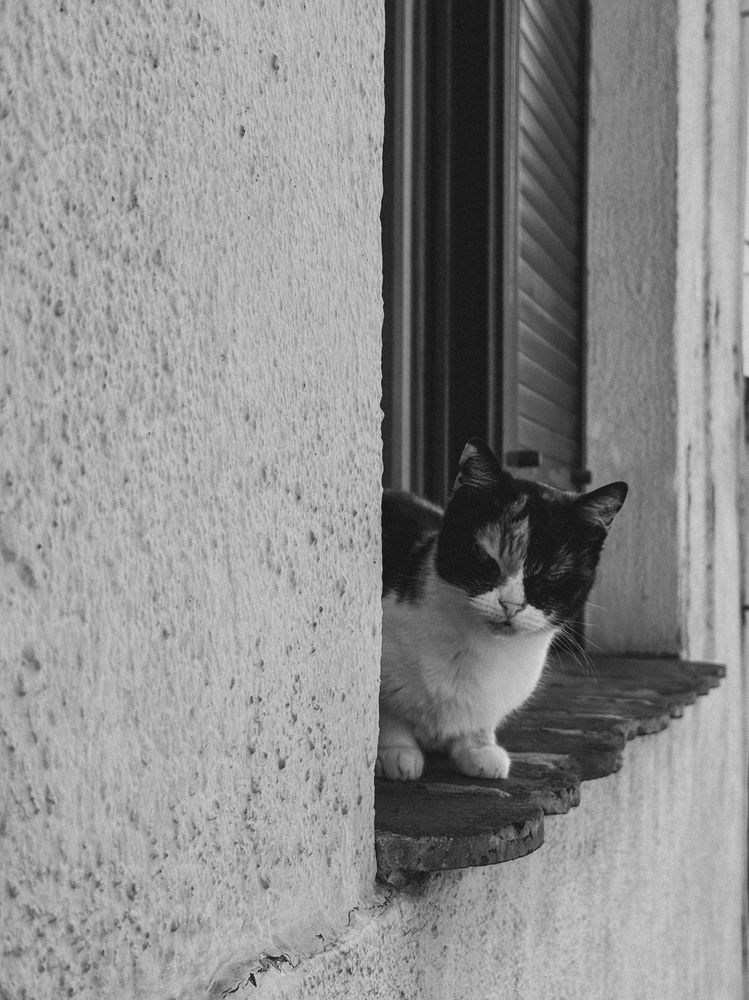 Photograph by Сергей