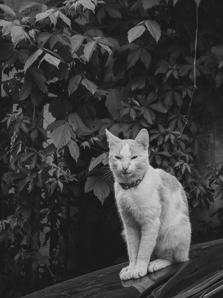 Photograph by Сергей