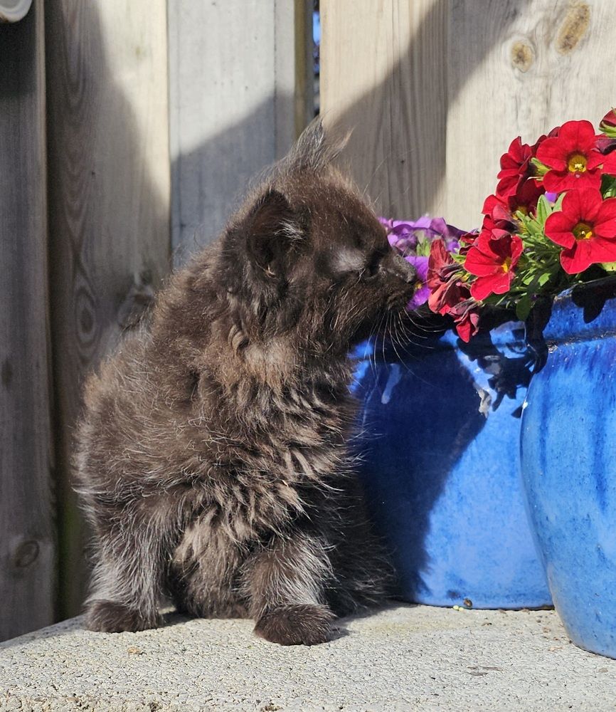 Photograph by Anneliese Wilpe