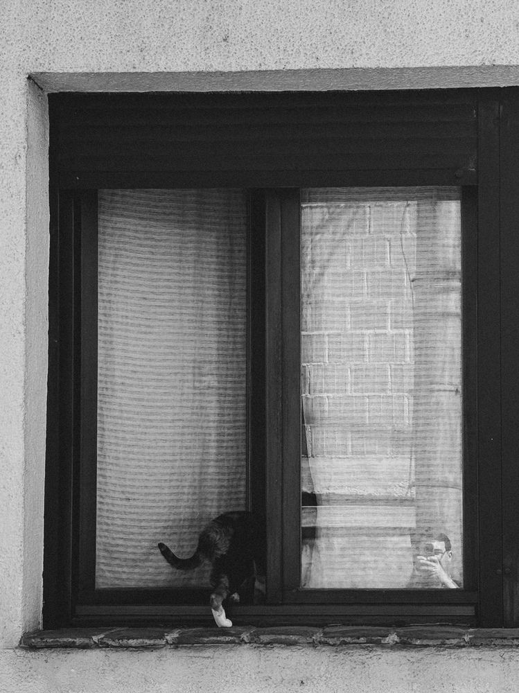 Photograph by Сергей