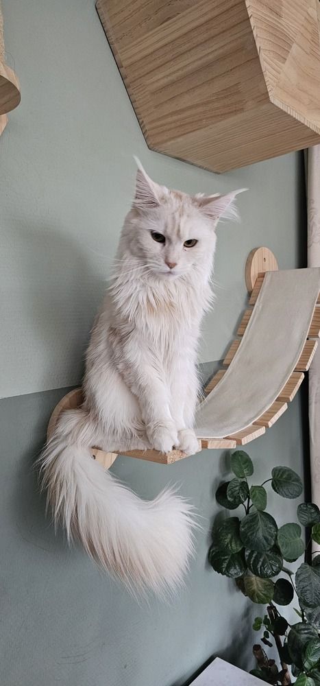 Photograph by Anneliese Wilpe