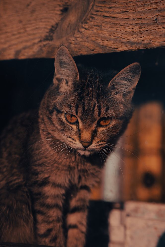 Photograph by Герман Крупенин