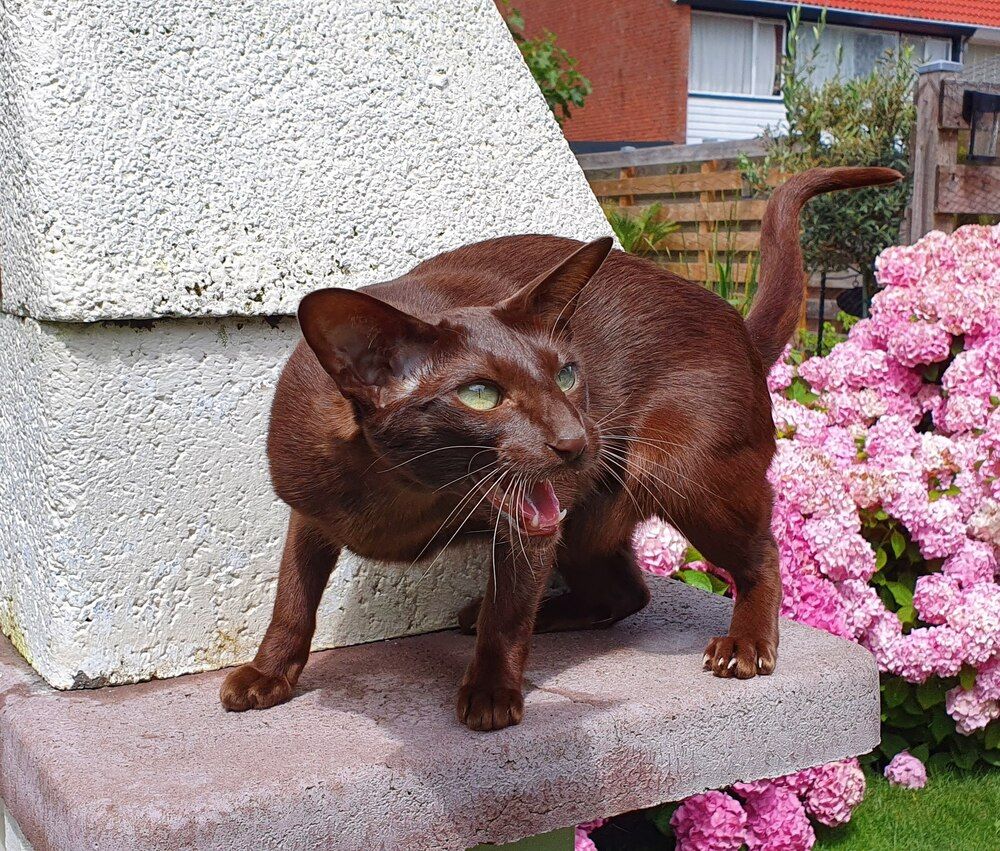 Photograph by Anneliese Wilpe