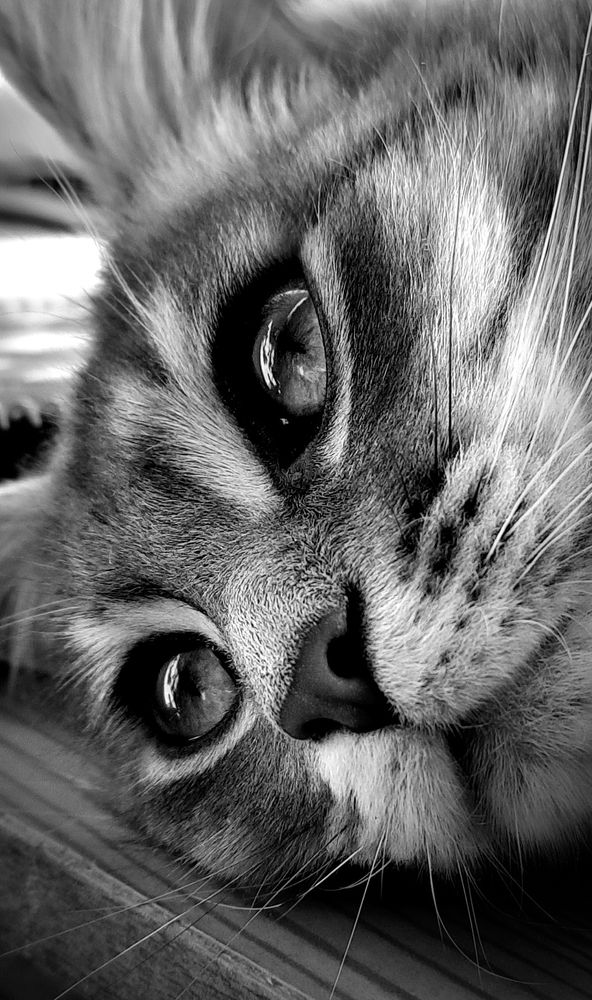 Photograph by Alex Oldman