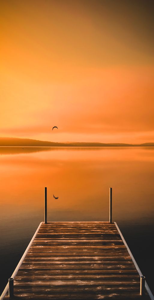 Photograph by Dinesh madanaboina