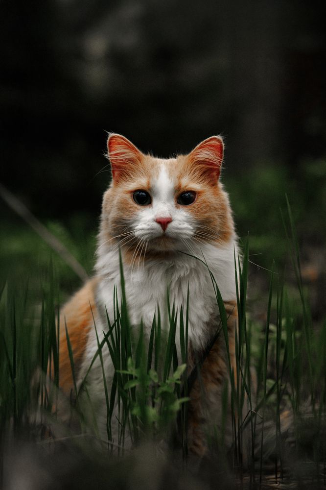 Photograph by Алёна Губинская