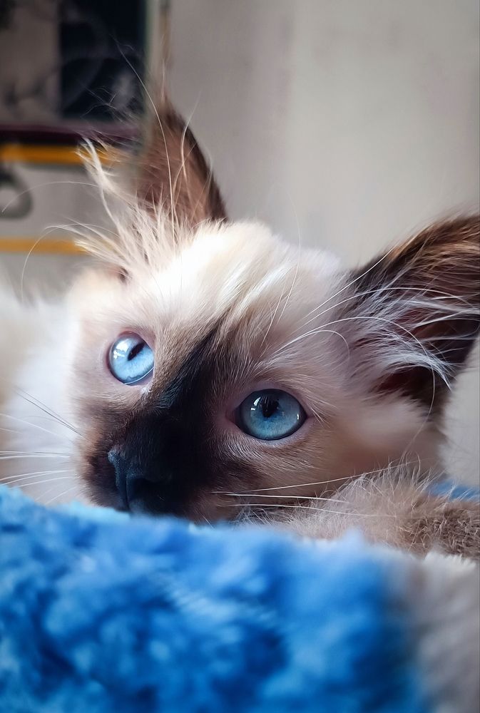 Photograph by Ульяна Северинова