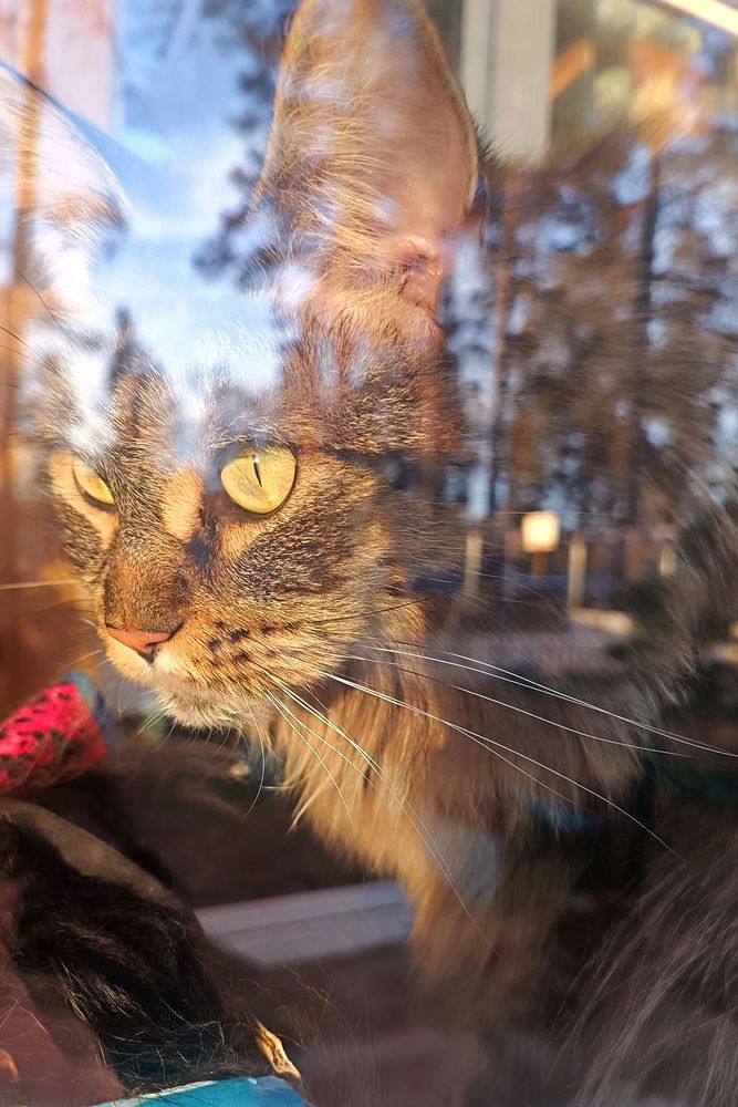 Photograph by Ульяна Северинова