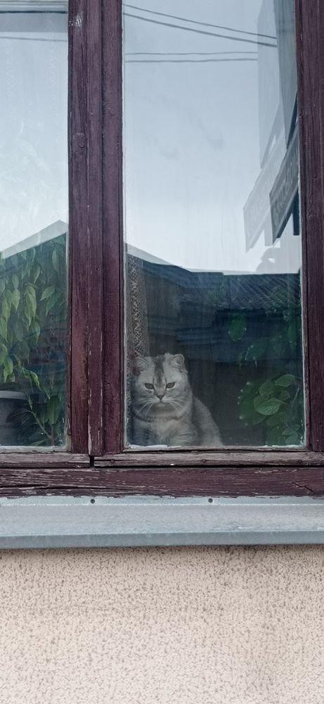 Photograph by Наталья Панасюк