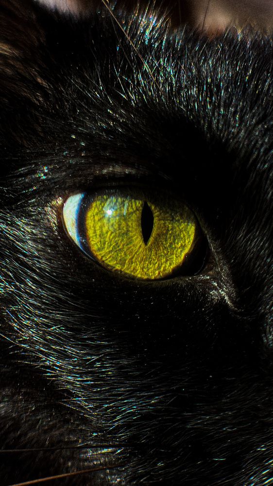 Фотография автора Ксения