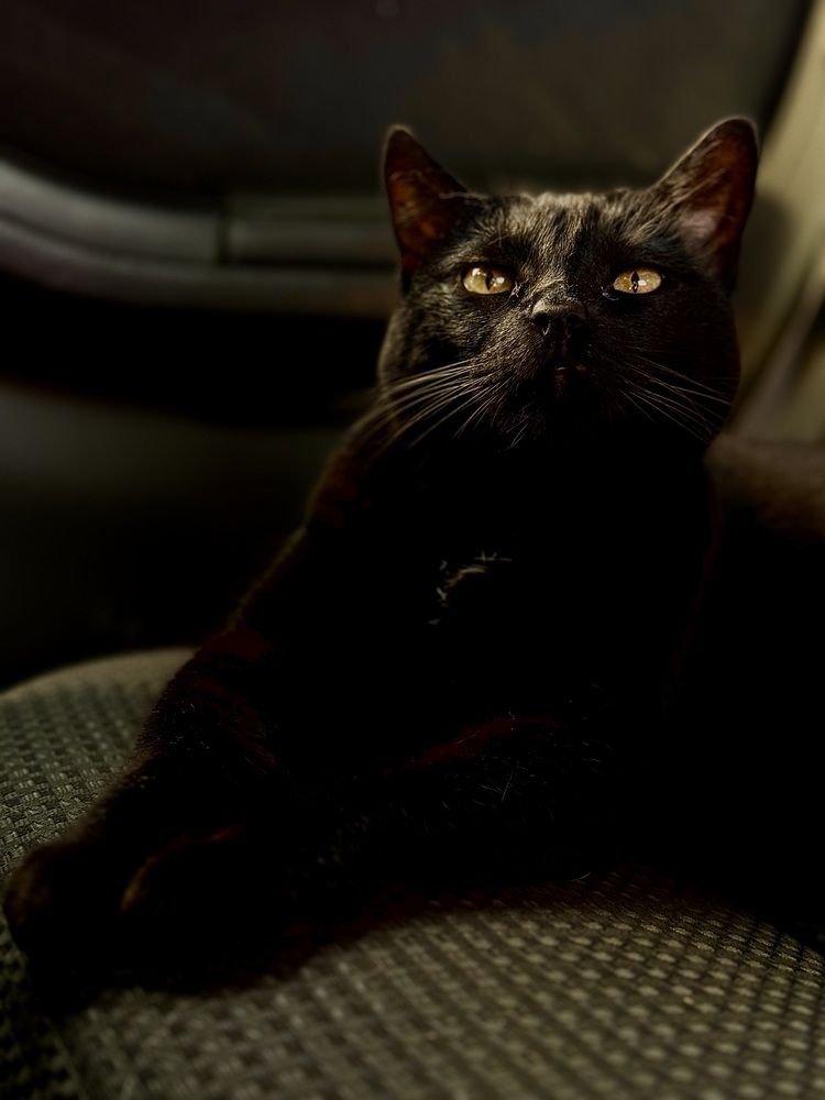 Фотография автора Ксения