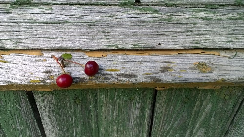 Photograph by Ирина К.