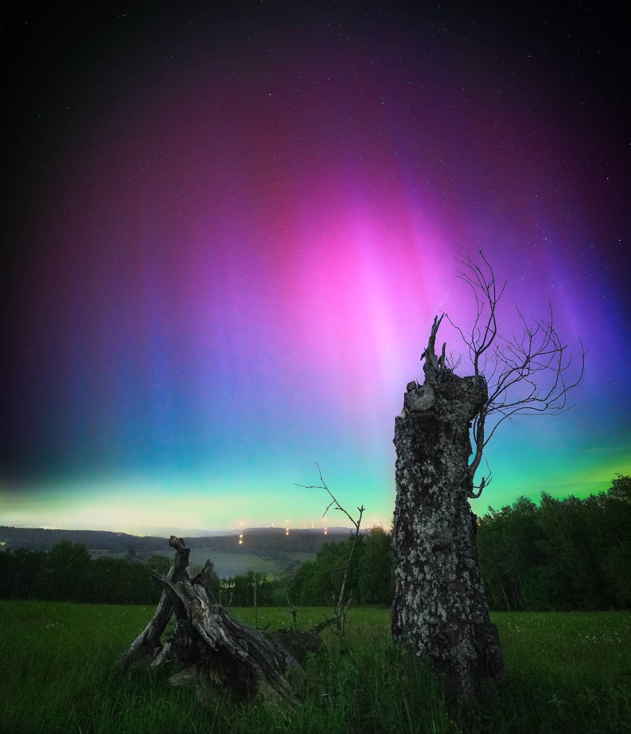 Фотография #12233710