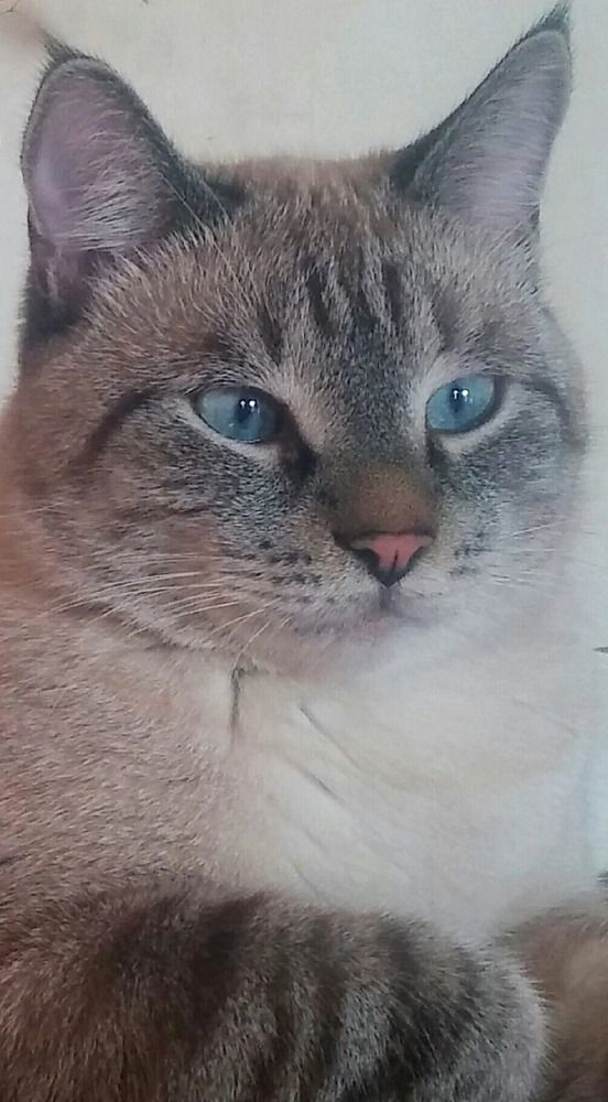 Photograph by Елена Амосова