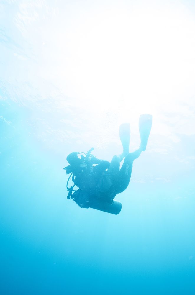 Photograph by Diogo Benchimol