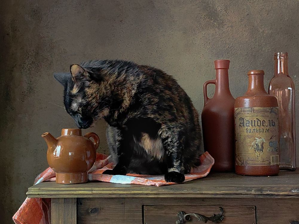 Photograph by Ирина Ветюгова