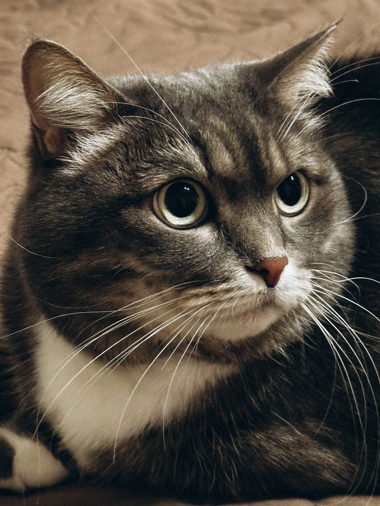 Photograph by Людмила Самсонова