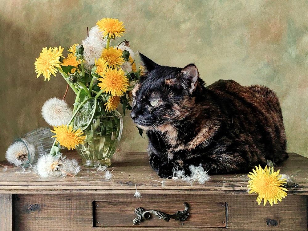 Photograph by Ирина Ветюгова