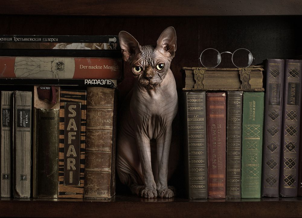 Photograph by Alexander Sviridov