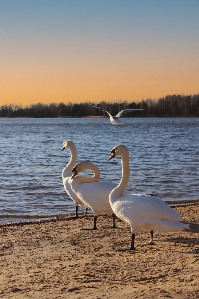 Photograph by Татьяна Сычёва