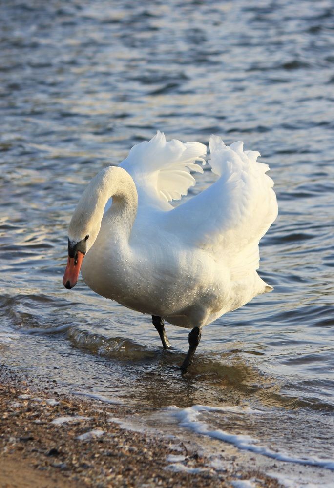 Фотография автора Татьяна Сычёва