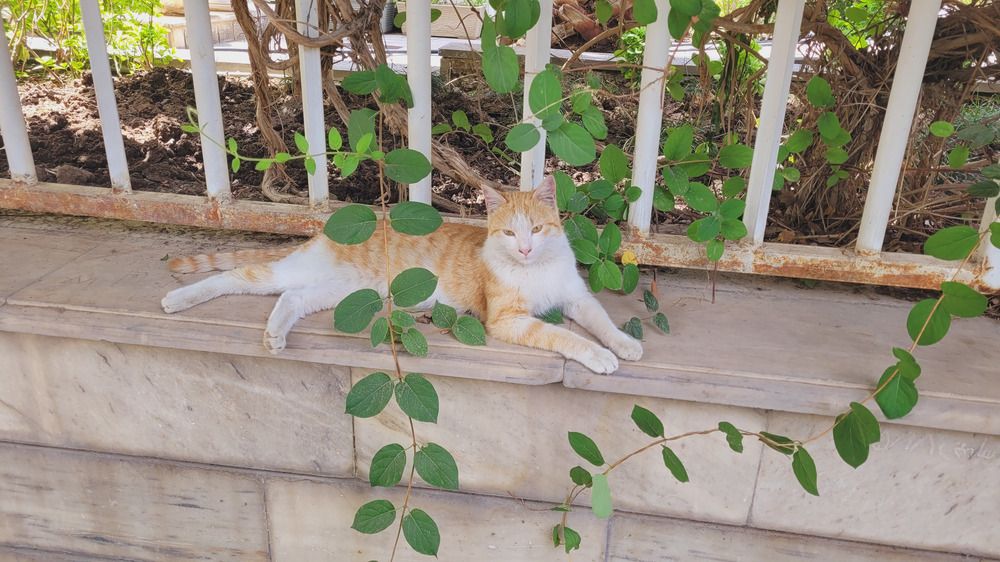 Photograph by Rahele Almassi