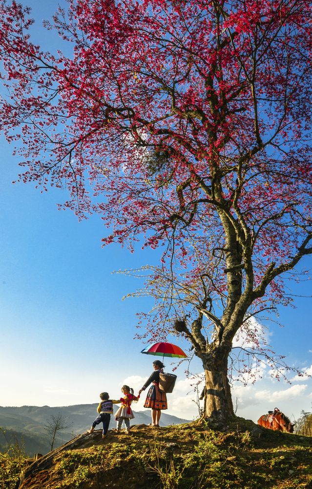 Photograph by Nguyễn Cường