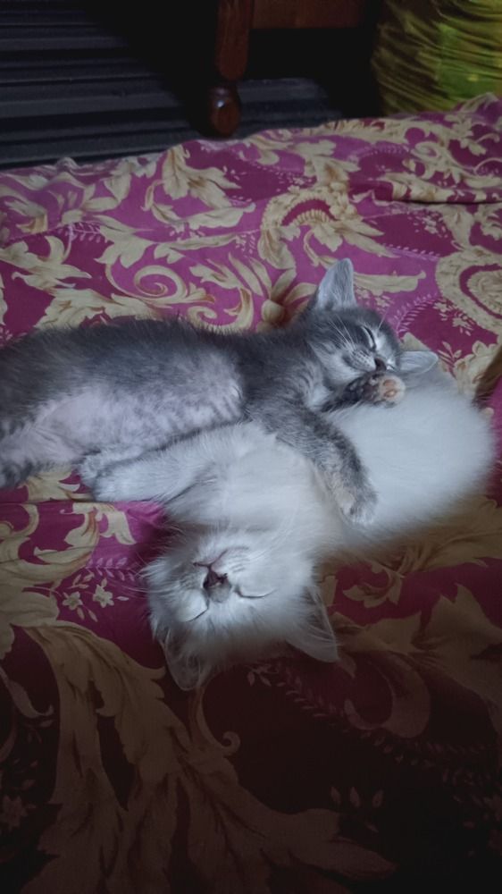 Photograph by Miazz Mohd Radzi