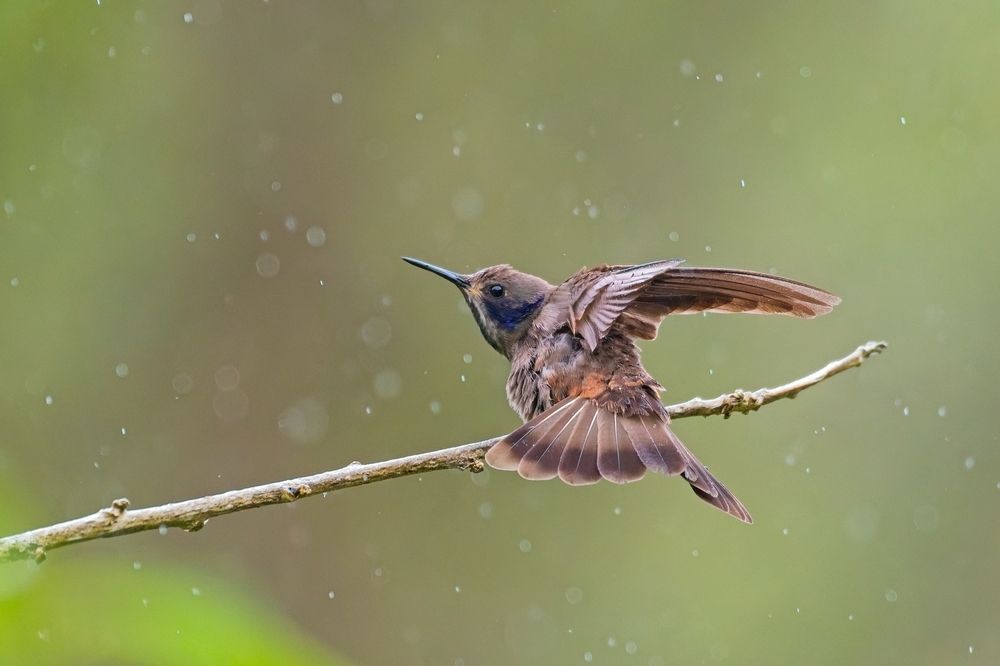 Photograph by Jerome Foster