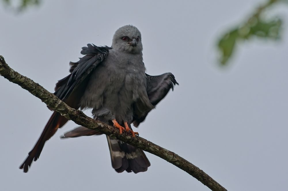 Photograph by Jerome Foster