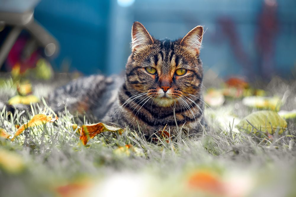 Photograph by Анастасия Сахаревич