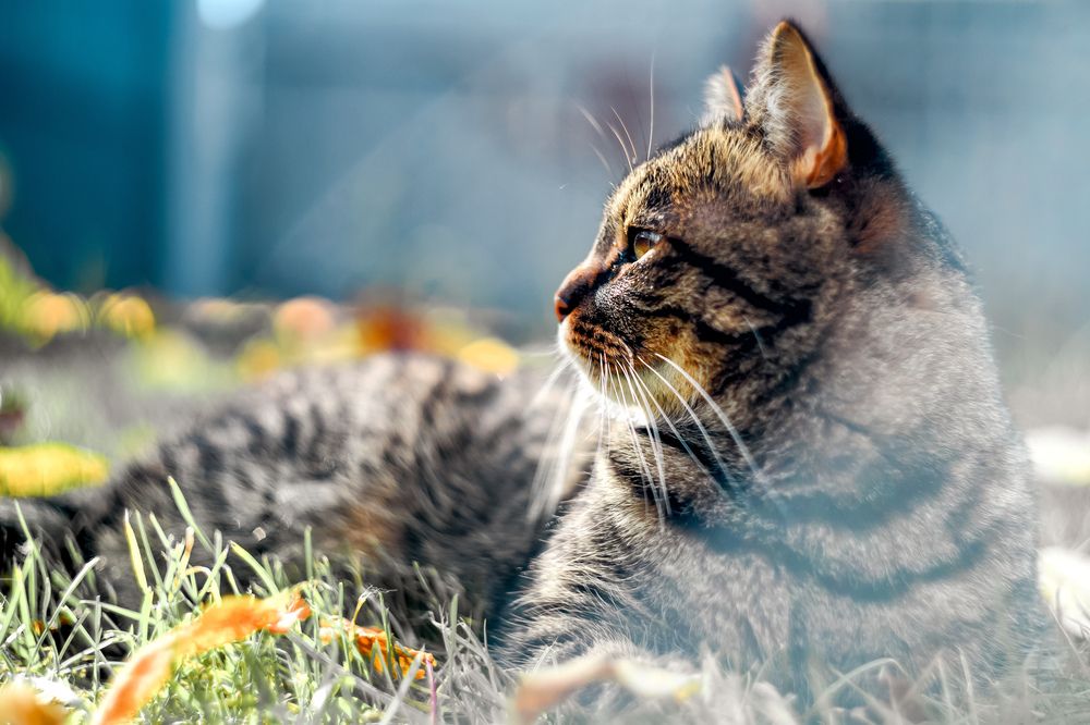 Photograph by Анастасия Сахаревич