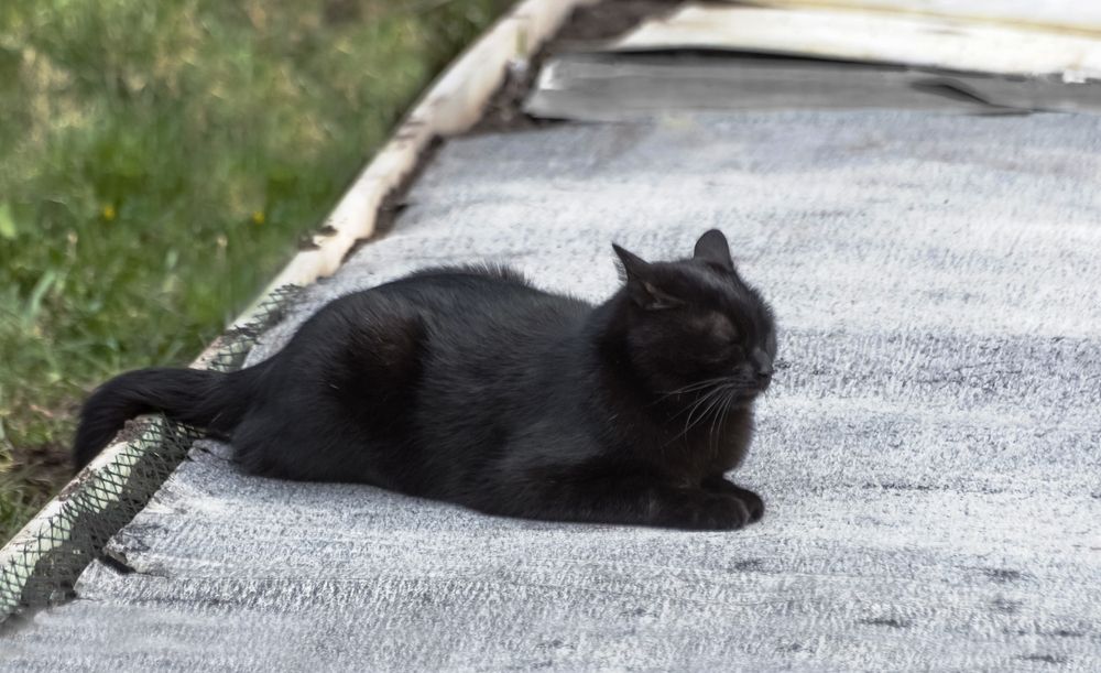 Photograph by Nadezhda