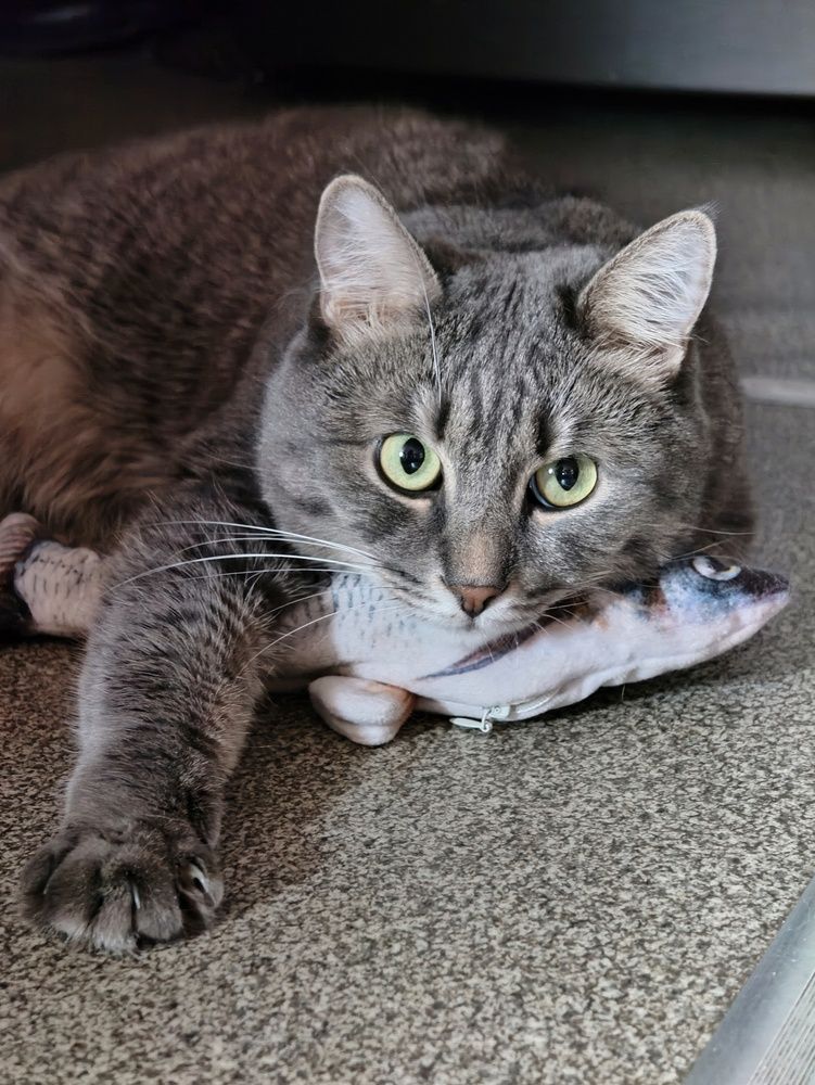 Photograph by Нина Кольман