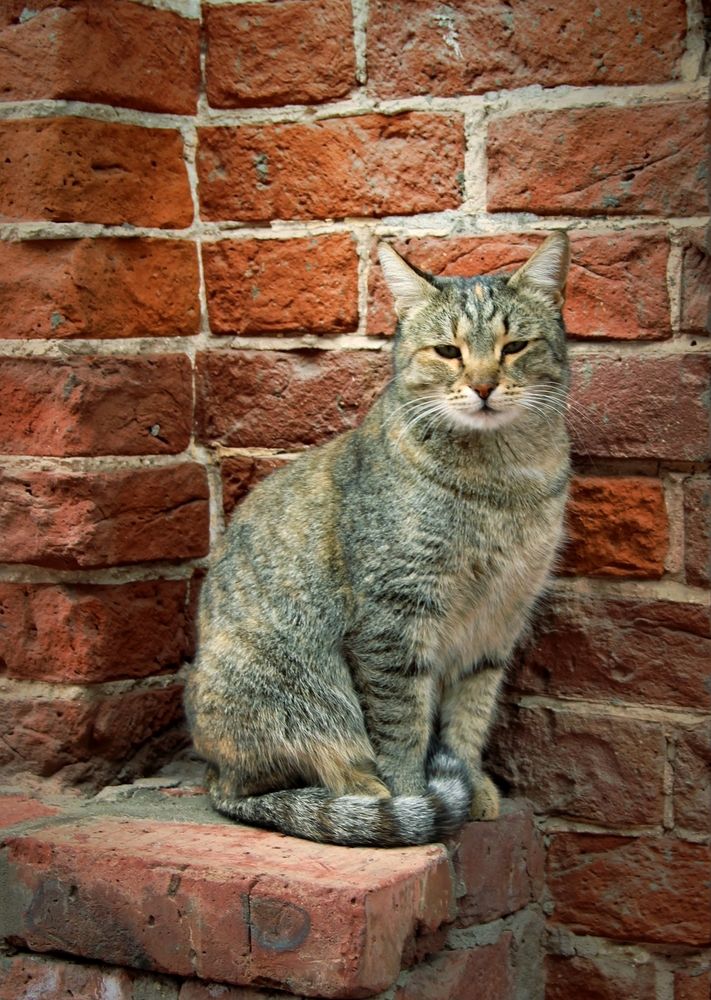 Photograph by Ирина Соколова